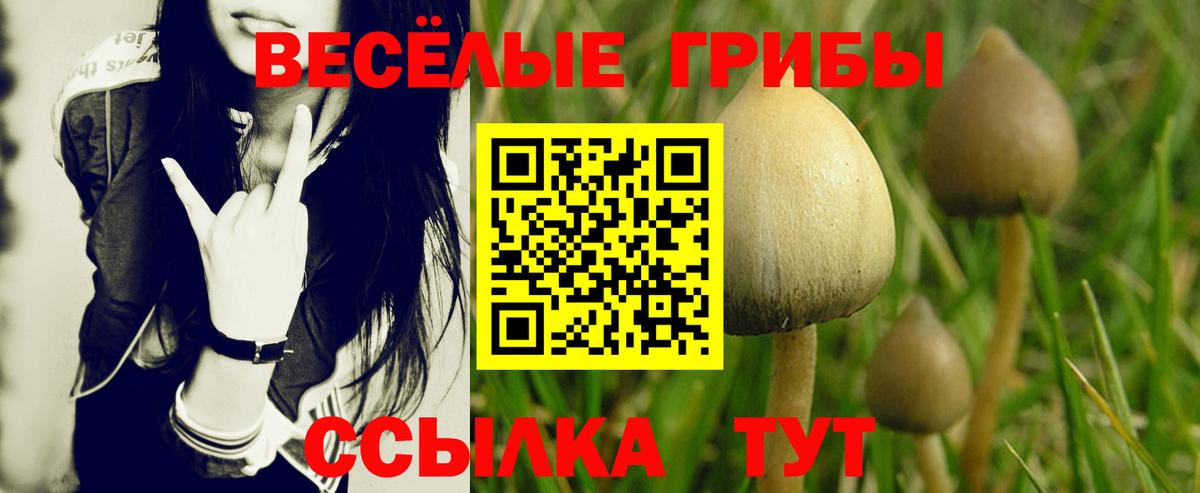 Псилоцибиновые грибы ЛСД  даркнет сайт  Вход с VPN  Ликино-Дулёво  Псилоцибиновые грибы прущие грибы 
