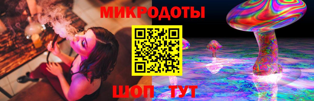 Псилоцибиновые грибы Psilocybine cubensis Ликино-Дулёво